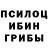 Псилоцибиновые грибы Cubensis Anar Music