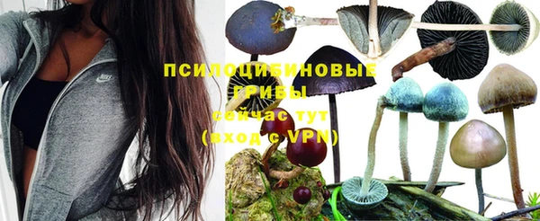 стаф Алексин