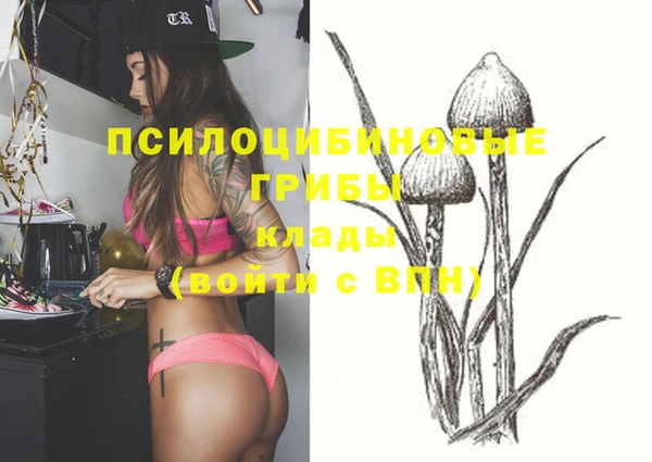 PSILOCYBIN Алексеевка