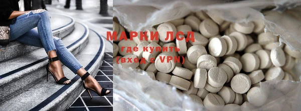 стаф Алексин